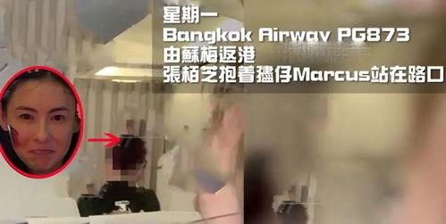 空姐爆料张柏芝视频,真相背后引人深思